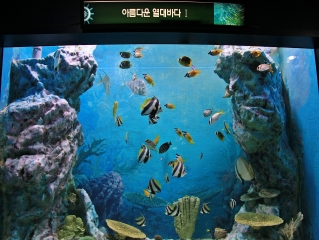 [고성] 화진포 해양박물관 5번째 이미지