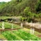 [화천] DMZ 사방거리 평화생태문화마을 3번째 이미지