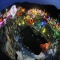 [1~12월] 허브아일랜드 불빛동화축제 8번째 이미지