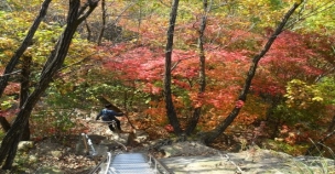 [October] Unaksan Mountain Maple Festival in Pocheon