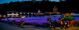 포천 허브아일랜드 불빛동화축제
