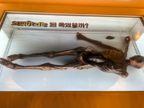 Ötzi mummy