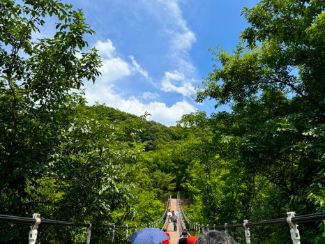 suspension bridge